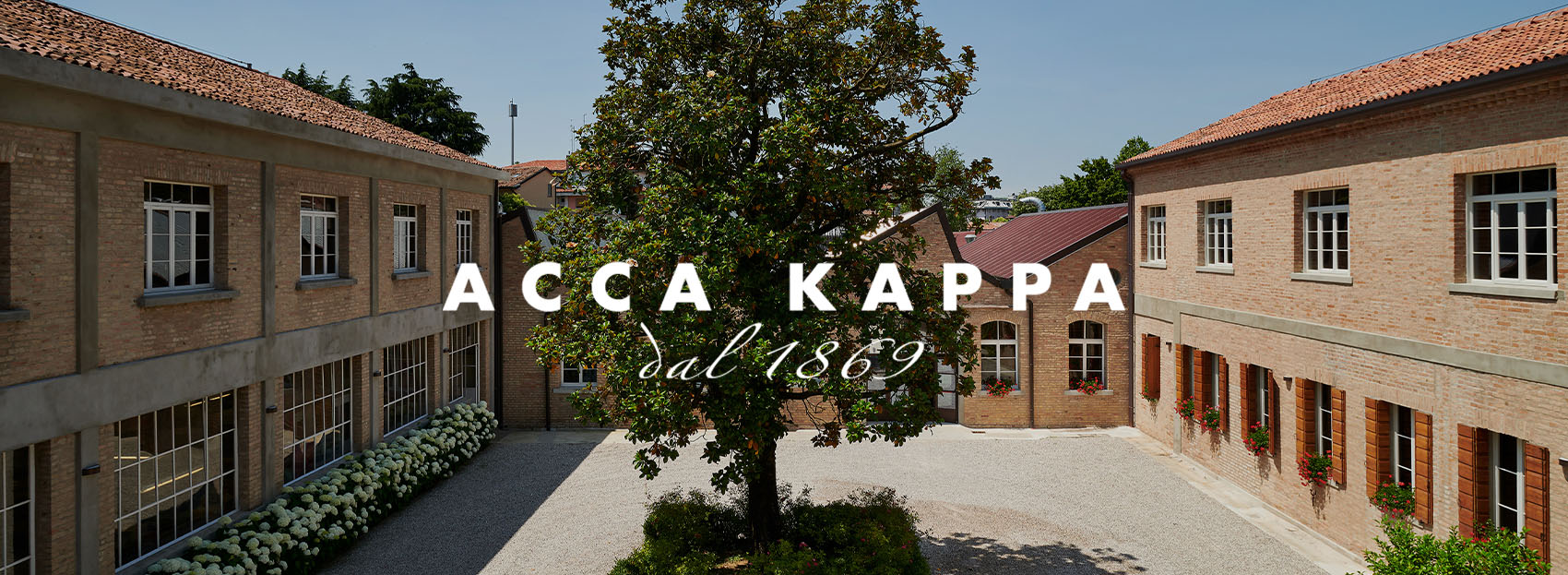 Acca Kappa - cat
